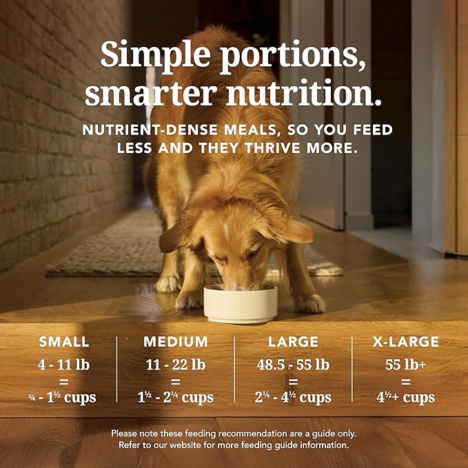 K9 Natural Beef Freeze Dried Dog Food, High-Meat Natural Complete Meal or Meal Toppers for Dogs, Grass-Fed Beef from New Zealand, Grain-Free, GMO-Free, Complete & Balanced Nutrition, 3.5oz