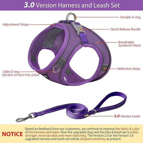 AIITLE Dog Harness, Summer No-Pull Cat Harness with a Leash, Adjustable Reflective Dog Vest, Cat Harness Escape Proof, Outdoor Walking, Camping for Extra Small Dogs and House Cats Pure Purple XXXS