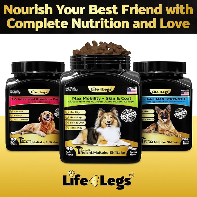Hip and Joint Chews for Dogs + Skin and Coat Supplement - Dog Joint Pain Relief Treats - Glucosamine, Chondroitin, MSM, Hemp Oil, Turmeric, Omega 3 for Dogs, Mobility Dog Health Supplies
