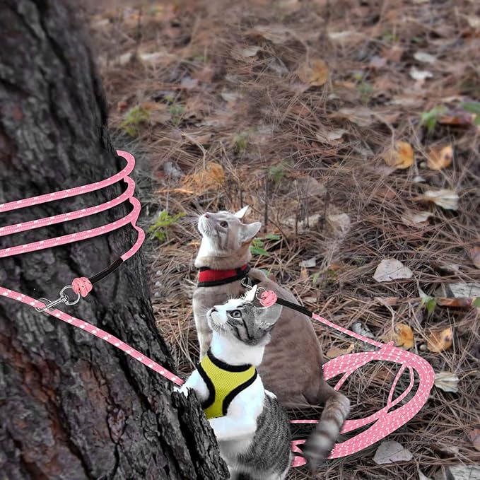 Rypet Reflective Cat Long Leash - 50 FT Escape Proof Walking Leads Yard Long Lead Durable Safe Personalized Extender Leash Traning Play Outdoor for Kitten, Puppy, Rabbit and Small Animals(Pink-L)