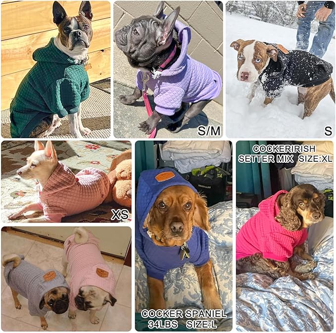 BEAUTYZOO Medium Dog Hoodie Sweater with Pockets, Dog Clothes for Small Medium Dogs Boy Girl, Waffle-Like Laminated Cotton Pet Coats with Hat and Leash Hole, Orange XL