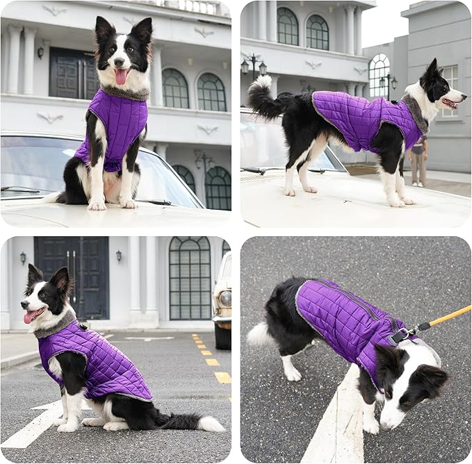 Warm Fleece Dog Coats with Durable Harness Buitl in D-Ring,Waterproof Puppy Jacket for Small Dogs,Dog Vest for Cold Winter,Purple S