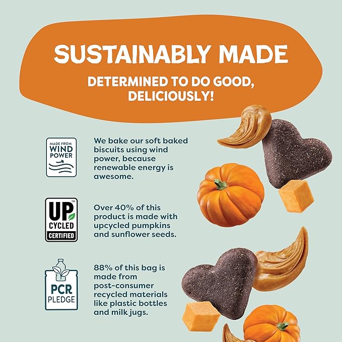 Shameless Pets Soft-Baked Dog Treats, Pumpkin Nut Partay - Natural & Healthy Chews for Digestive Support with Fiber - Doggy Biscuits Baked & Made in USA, Free from Grain, Corn & Soy - 1 Pound 1Pack