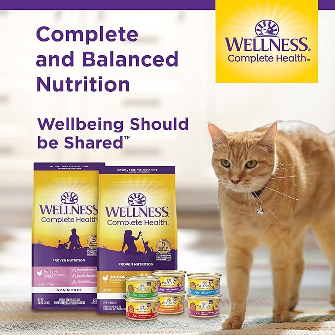 Wellness Complete Health Adult Dry Cat Food for Indoor Cats, Grain Free, Natural, Healthy Weight Chicken & Turkey Meal (11.5 Pound Bag)
