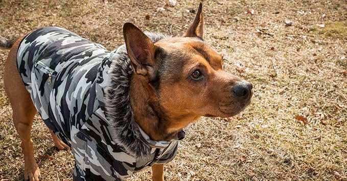 PET LIFE Classic Metallic Fashion Pet Dog Coat Jacket Parka w/ 3M Insulation and Removable Hood, X-Small, Deer Pattern