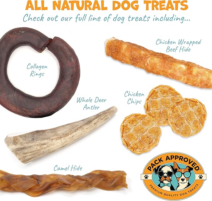 Flavor-Doh - Flavored Pill Wrap for Dogs to Hide Capsules and Create Pill Treats for Dogs - Easy-to-Use Treat Paste for Pet Medication - Pumpkin (4.2oz)