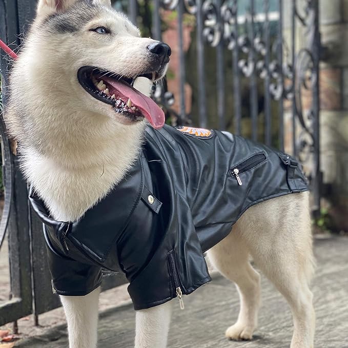 Lovelonglong Cool Dog Leather Jacket, Warm Coats Dogs Windproof Cold Weather Coats for Large Medium Small Dogs with Eagle Embroidery Black L-S