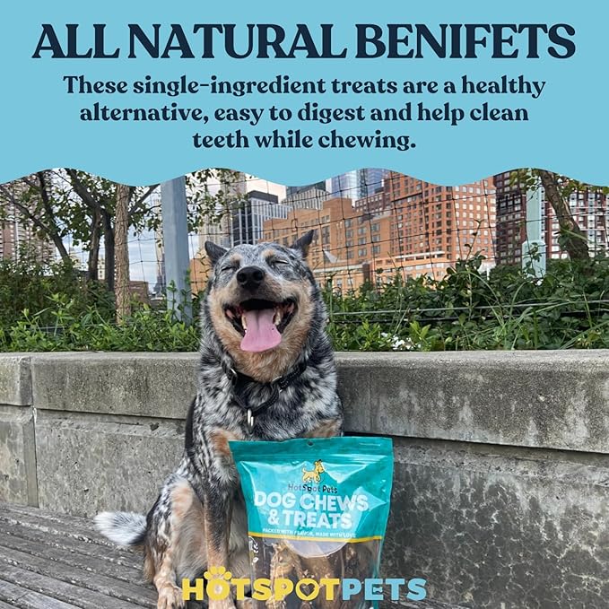 Split Elk Antlers for Dogs - 4-10 Inch Long Dog Chews (1LB Bag) Naturally Shed Antler Bone for Large Breed Aggressive Chewers - Made in USA No Chemicals (1 Pound - 5-6 Pieces, Sizes May Vary)