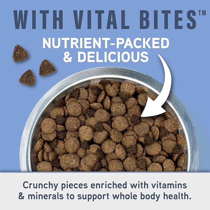 Natural Balance Specialized Nutrition Dry Dog Food Formula with Chicken and Oatmeal for Dogs, Joint Health & Muscle Health Dog, Natural Ingredients with Added Vitamins & Minerals - 22 lbs