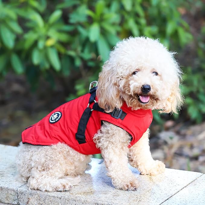 Norbi Pet Warm Jacket Small Dog Vest Harness Puppy Winter 2 in 1 Outfit Cold Weather Coat L