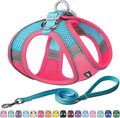 AIITLE Small Harness for Puppy with A Leash - Summer Dog Vest Harness with Super Breathable Mesh, Reflective No-Pull Pet Harness for Outdoor Walking, Camping for Small Dogs, Cats Hot Pink XXS