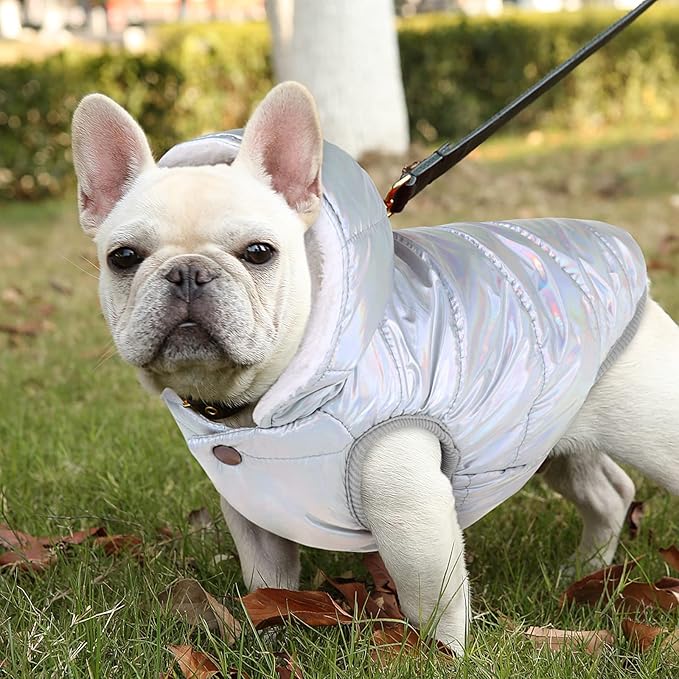 Windproof Waterproof Dog Coat Fleece & Cotton Lined Warm Jacket, Cold Weather Pet Apparel Clothes Vest for Small to Large Dogs (L, Silver)