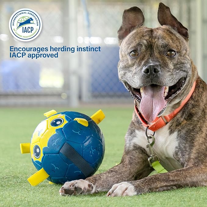 Race&Herd 6" Jolly Soccer Ball for Dogs - Tough Durable Dog Ball Toy with Straps, Pet Bouncy Herding Balls for Dogs, Floating Dog Balls with Tags for Water Fetch (BaaBaaBall, Alien Sheep)