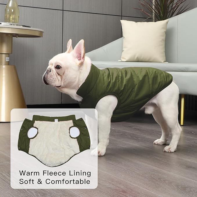Fleece Lined Warm Dog Jacket for Winter Cold Weather,Soft Windproof Medium Dog Coat,Green XL