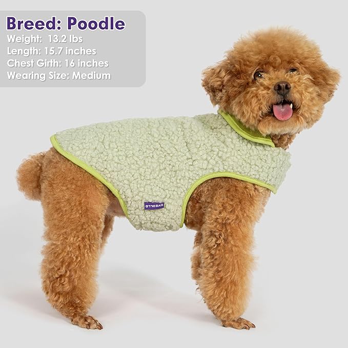 cyeollo Warm Dog Coat Fleece Sherpa Winter Sweater Coats, Turtleneck Dog Jacket Vest for Small Medium Large Dogs with Leash Hole, Soft Reversible Pet Coats for Cold Weather, Green, S