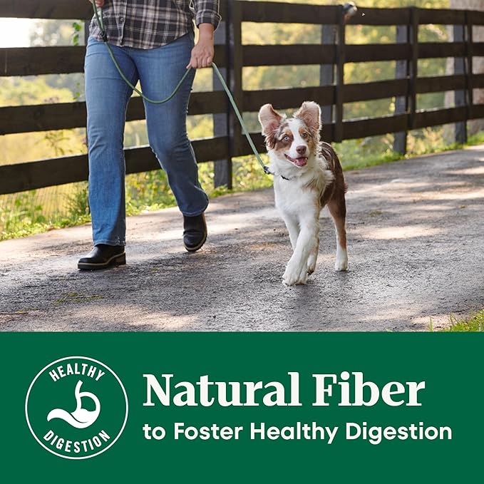 Nutro Natural Choice Lamb & Brown Rice Puppy Food Dry Recipe, 4.5 lb. Bag