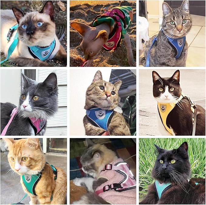 PUPTECK Cat Harness and Leash Set Escape Proof Reflective Cat Walking Harness Adjustable Soft Breathable Mesh Vest for Small Pets, Blue, S
