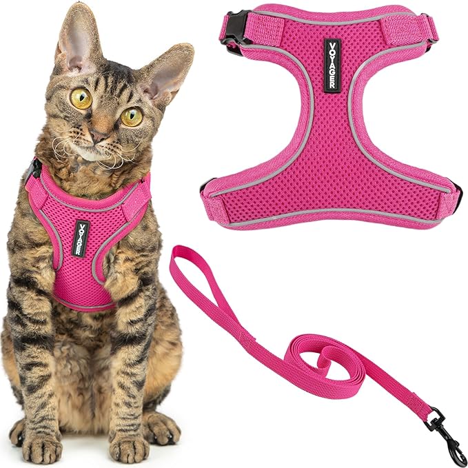 Voyager Escape Proof Cat Harness and Leash Set with Reflective Stitching, Neoprene Handle 5ft - Supports Small, Medium and Large Cats, Kittens for Walking by Best Pet Supplies - Fuchsia, XS