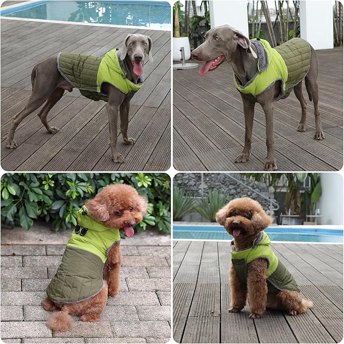 Detachable Hooded Dog Coat with Harness for Small Dogs,Super Warm Fleece Puppy Jacket for Cold Winter Doggie Coats,Green M