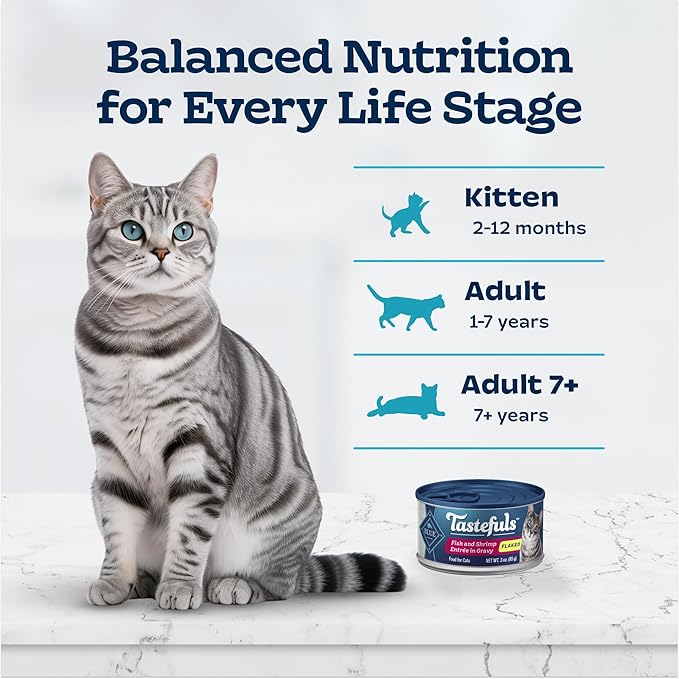 Blue Buffalo Tastefuls Natural Wet Cat Food Cans, Flaked Style, Fish and Shrimp Entrée in Gravy 3-oz Cans (Pack of 4)