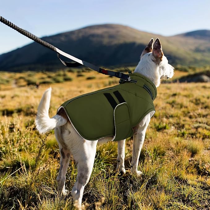 IECOii Winter Dog Coat for Extra Large Dogs, Waterproof Reflective Dog Snow Jacket for Giant Breeds, Built in Collar Snowsuit Thermal Dogs Cold Weather Coats for Great Dane, Army Green - 4XL