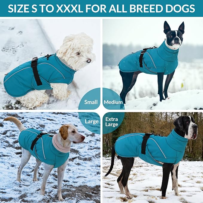 Queenmore XXL Dog Coat, Winter Jacket for Large Dogs, Waterproof Puffy Snowsuit, Adjustable Reflective Fleece Lining Warm Padding Parka for Cold Weather, Blue 2XL