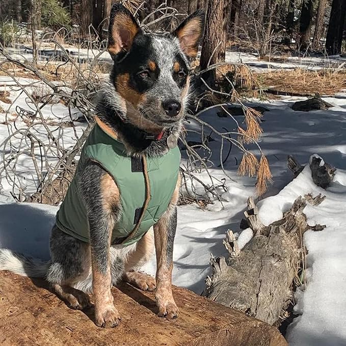 Gooby - Sports Vest, Fleece Lined Small Dog Cold Weather Jacket Coat Sweater with Reflective Lining, Green, X-Large