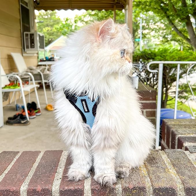Voyager Step-in Lock Adjustable Cat Harness w. Cat Leash Combo Set with Neoprene Handle 5ft - Supports Small, Medium and Large Breed Cats by Best Pet Supplies - Baby Blue/Black Trim, XXXS