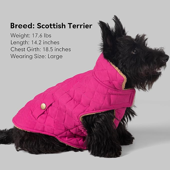 azuza Dog Jacket Waterproof & Windproof Dog Coat for Small Dogs with Thick Fleece, High Collar with Leash Hole, Adjustable Velcro & Elastic Belly, Rose Red, S