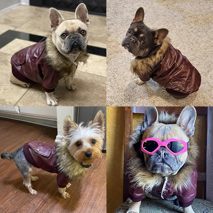 LESYPET Dog Leather Jacket for Small Dogs, Waterproof Dog Winter Jacket Puppy Coat with Fleece Lined, Ultra Warm Fur Collar Doggie Coat, Black S