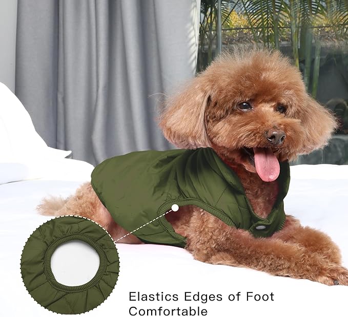 Fleece Lined Warm Dog Jacket for Winter Cold Weather,Soft Windproof Medium Dog Coat,Green XL