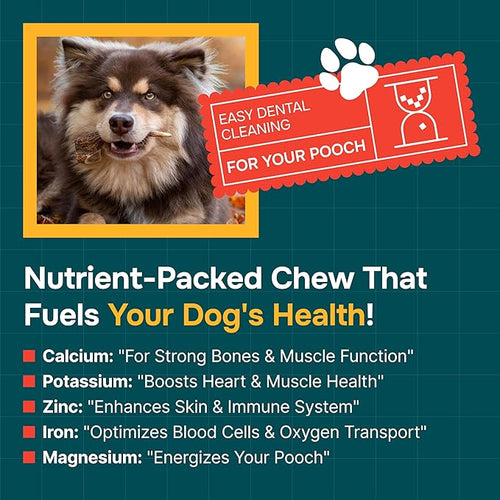 100% Natural - Antlers for Dogs ( Split ) - Naturally Shed in USA - Grade A Long Lasting Chew for Aggressive Chewers - Elk Antlers Dog Antler Chews - Real, Treats & Toys - No Odor & No Mess - Small