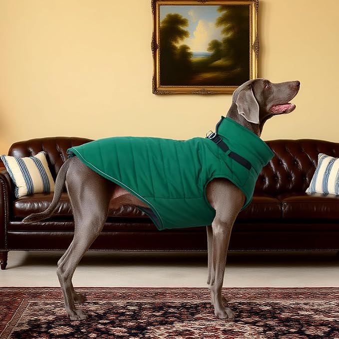 Kuoser XXL Dog Jacket Waterproof | ·Ripstop Fabric·Heavy Duty Zipper·Chest Guard·Alaskan·No Lifting Needed