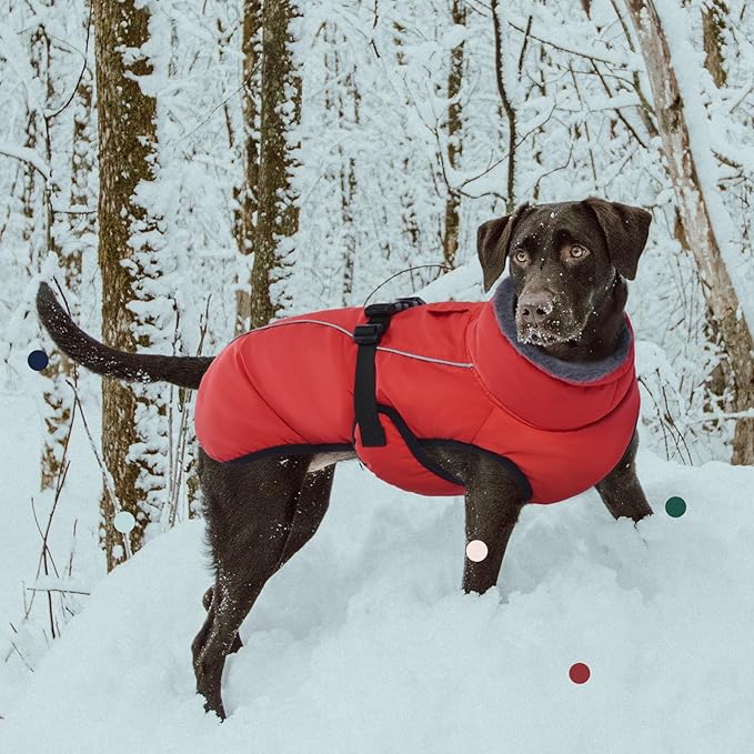 IECOii Extra Warm Dog Coat - Reflective, Adjustable Winter Jacket with Buckle & Turtleneck for Small to Extra Large Dogs