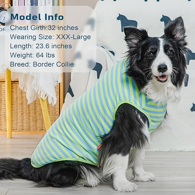 KYEESE 2Pack Dog Shirts Striped T Shirt for Medium Dogs Boy Lightweight Sleeveless Vest Cotton Tank Top Clothes, XX-Large,Blue+Striped