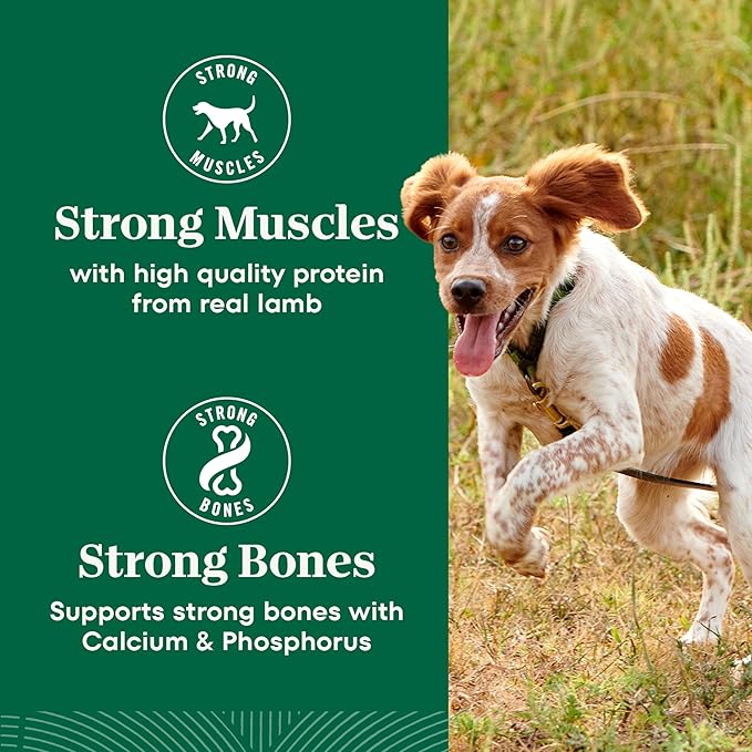 Nutro Natural Choice Lamb & Brown Rice Adult Small Bites Dog Food Recipe, 30 lb. Bag