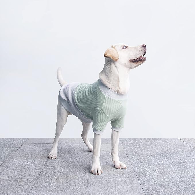 Extra Large Dog Sweaters Warm Clothes Pullover Sweatshirts for Labrador Rottweiler Great Dane, Green Grey, 5X-Large