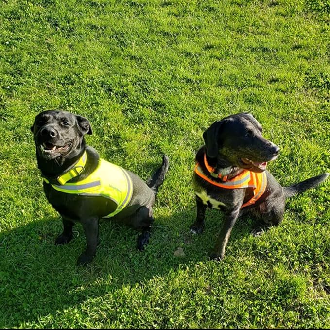 SafetyPUP XD Lite Dog Vest. Coverage to Mid Back. Reflective Hi Visibility Fluorescent Yellow Fabric Helps to Keep Them in Sight and Safe On and Off Leash.
