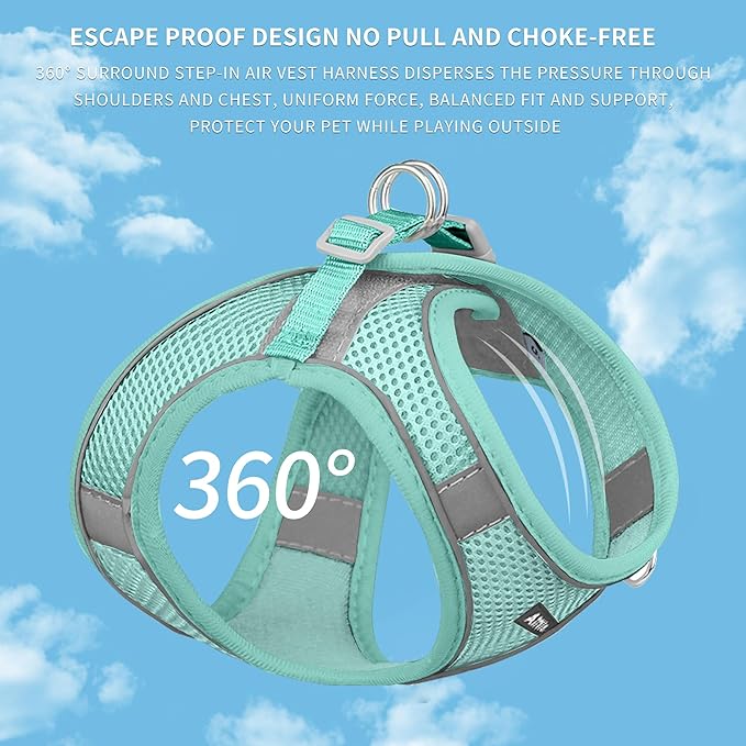 AIITLE Dog Harness, Summer No-Pull Cat Harness with a Leash, Adjustable Reflective Dog Vest, Cat Harness Escape Proof, Outdoor Walking, Camping for Extra Small Dogs and House Cats Pure Turquoise XXXS
