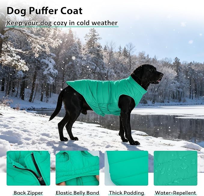 PUMYPOREITY Dog Puffer Coat with Detachable Scarf, Warm Padded Cold Weather Vest, Windproof Lightweight Snowsuit, Water Resistant Dog Winter Coats, Thermal Winter Jacket for Small Medium Large Dogs