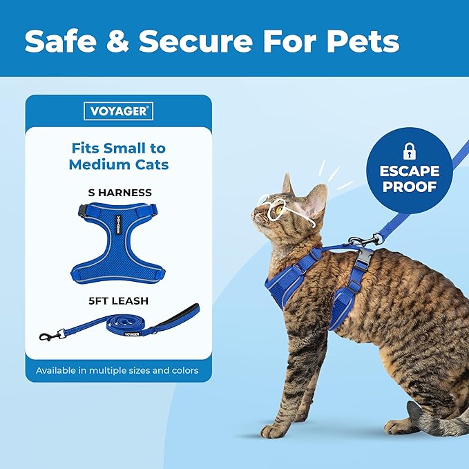 Best Pet Supplies Voyager Escape Proof Cat Harness and Leash Set with Reflective Stitching, Neoprene Handle 5ft - Supports Small, Medium and Large Cats, Kittens - Royal Blue, M (Chest: 16.5-19.5")