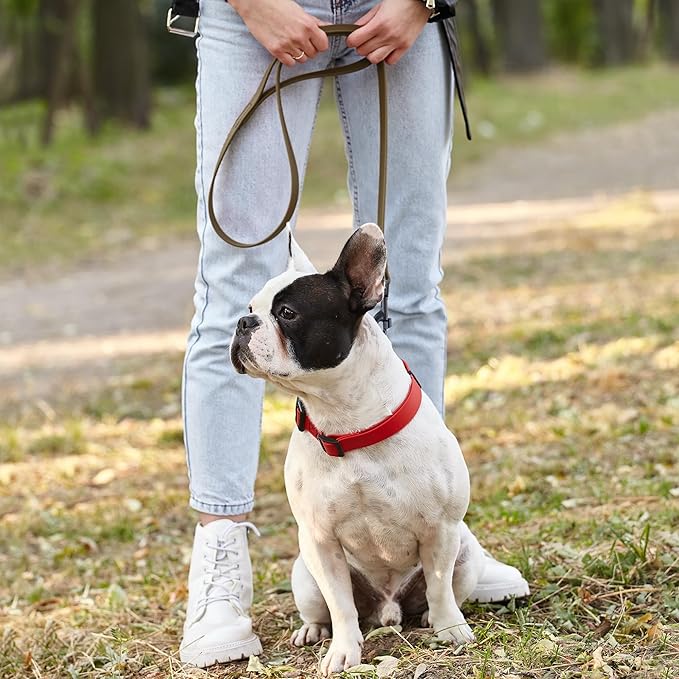 Dogline Biothane Waterproof Dog Leash Strong Coated Nylon Webbing with Black Hardware Odor-Proof Easy to Clean High Performance for Small or Large Dogs Made in USA 2 ft Lead, Coyote Brown