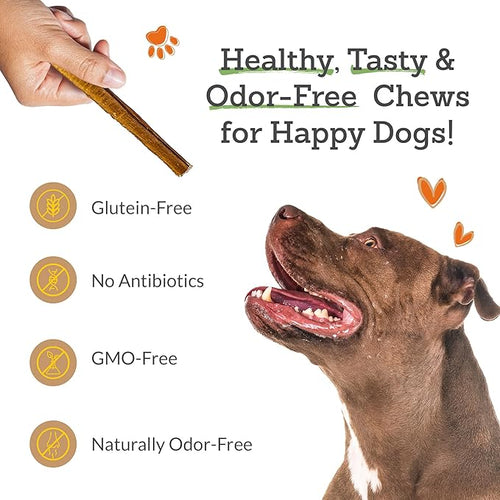 Advance Pet Products 12 Inch Bully Sticks (Pack of 5) - 100% Beef, Odor Free Dog Chews for Aggressive Chewers - Long Lasting, Gluten-Free, Easy to Digest, High Protein - for Small, Medium, Large Dogs