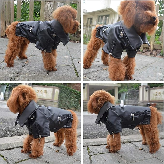 Lovelonglong Cool Dog Leather Jacket, Warm Coats Dogs Windproof Cold Weather Coats for Large Medium Small Dogs, Labrador Golden Retriever Clothing Black L-L