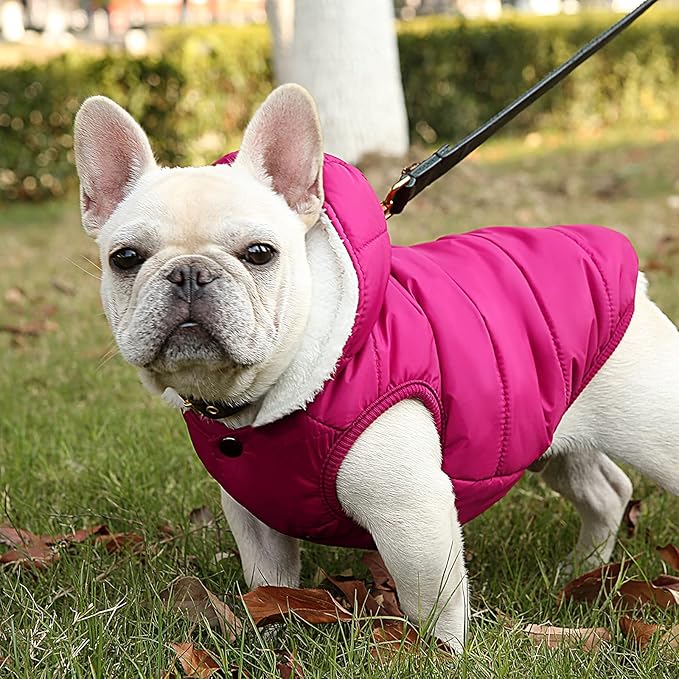 Windproof Waterproof Dog Coat - Fleece & Cotton Lined Warm Dog Jacket, Cold Weather Pet Apparel Clothes Vest - Sizes S to 3XL (Pink)