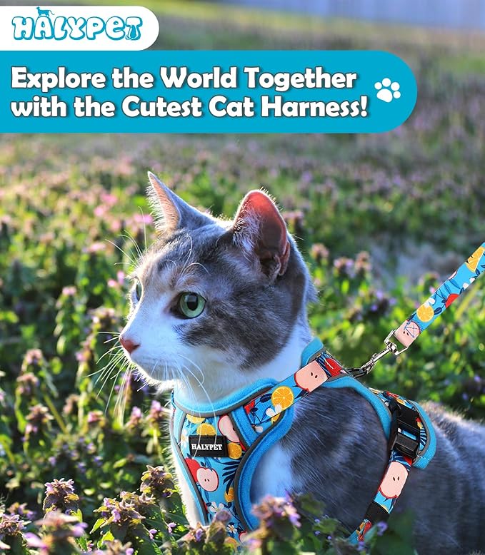 Halypet Cat Harness and Leash Set[MAX Safety 4th-Gen] Cute Escape Proof Vest Harness for Girl&Boy Cat Walking, Comfortable Adjustable Leash and Reflective Strips for Outdoor Kitten, XS Azure Floral