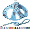 AIITLE Small Harness for Puppy with A Leash - Summer Dog Vest Harness with Super Breathable Mesh, Reflective No-Pull Pet Harness for Outdoor Walking, Camping for Small Dogs, Cats Pure Blue XXS