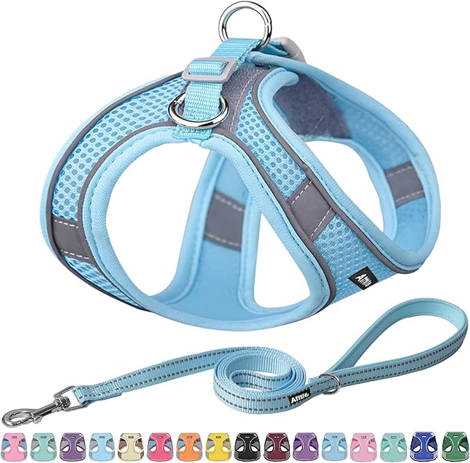 AIITLE Small Harness for Puppy with A Leash - Summer Dog Vest Harness with Super Breathable Mesh, Reflective No-Pull Pet Harness for Outdoor Walking, Camping for Small Dogs, Cats Pure Blue XXS
