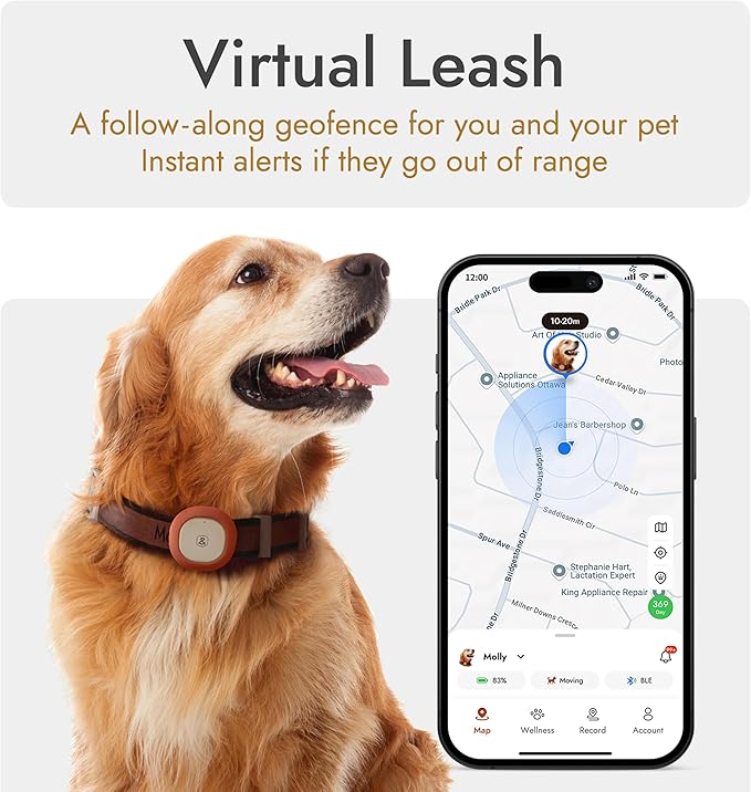 Molly&Cody GPS + Bluetooth Pet Tracker for Cats & Dogs – Real‑Time Tracking, Virtual Fence, IP67 Waterproof, Up to 60‑Day Battery, Health Monitoring, iOS/Android – 3‑Month Subscription Included (Gold)