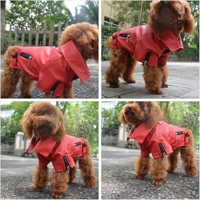 Lovelonglong Cool Dog Leather Jacket, Warm Coats Dogs Windproof Cold Weather Coats for Large Medium Small Dogs, Yorkshire Terrier Clothing Red S